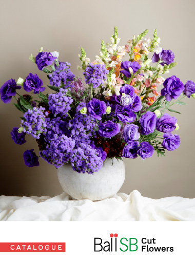 Ball SB CutFlowers