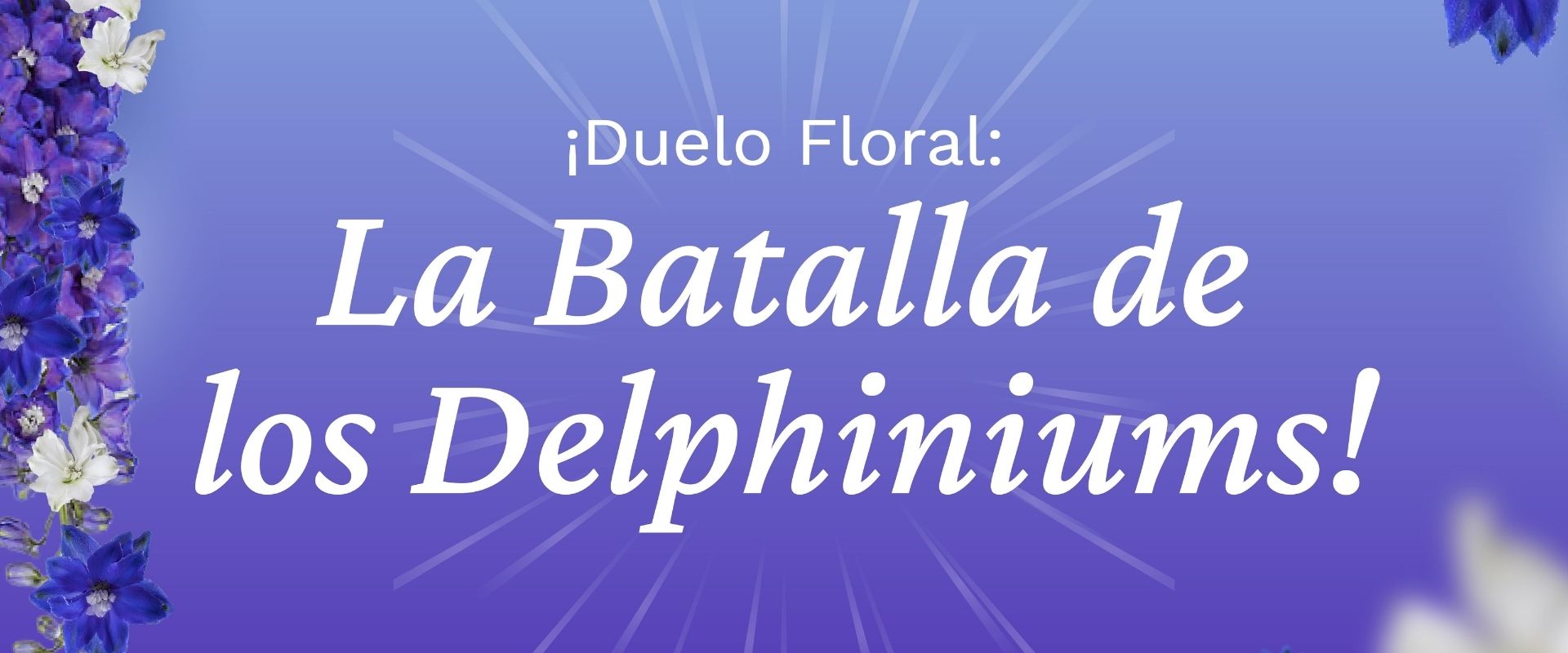 ¡Duelo Floral: La Batalla de los Delphiniums!