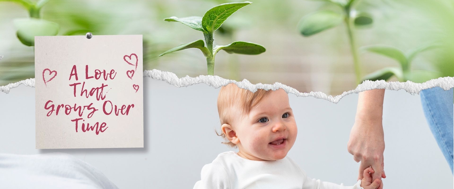 Seeds of Love: A Love That Grows Over Time