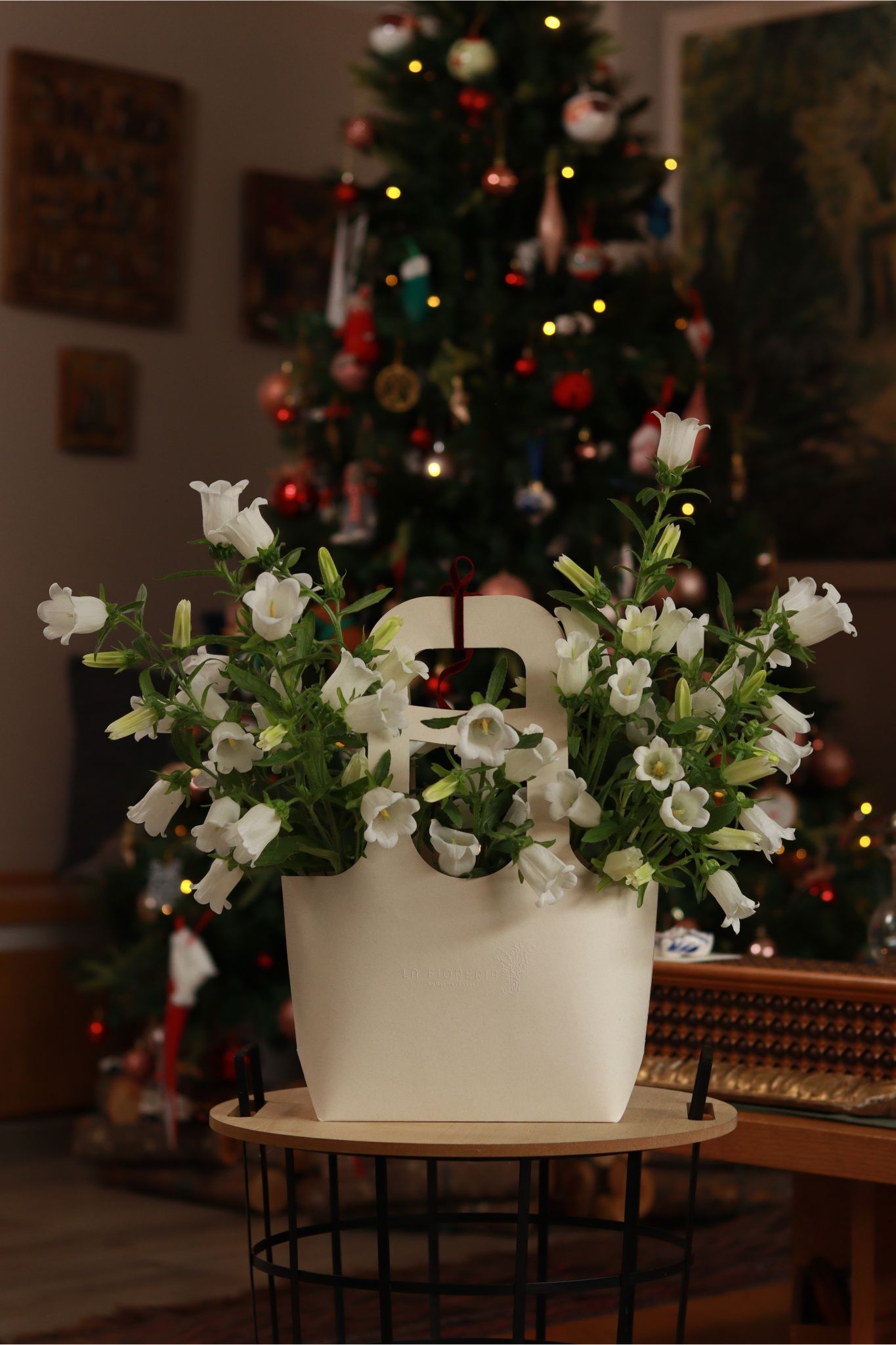 Campanula Campana White