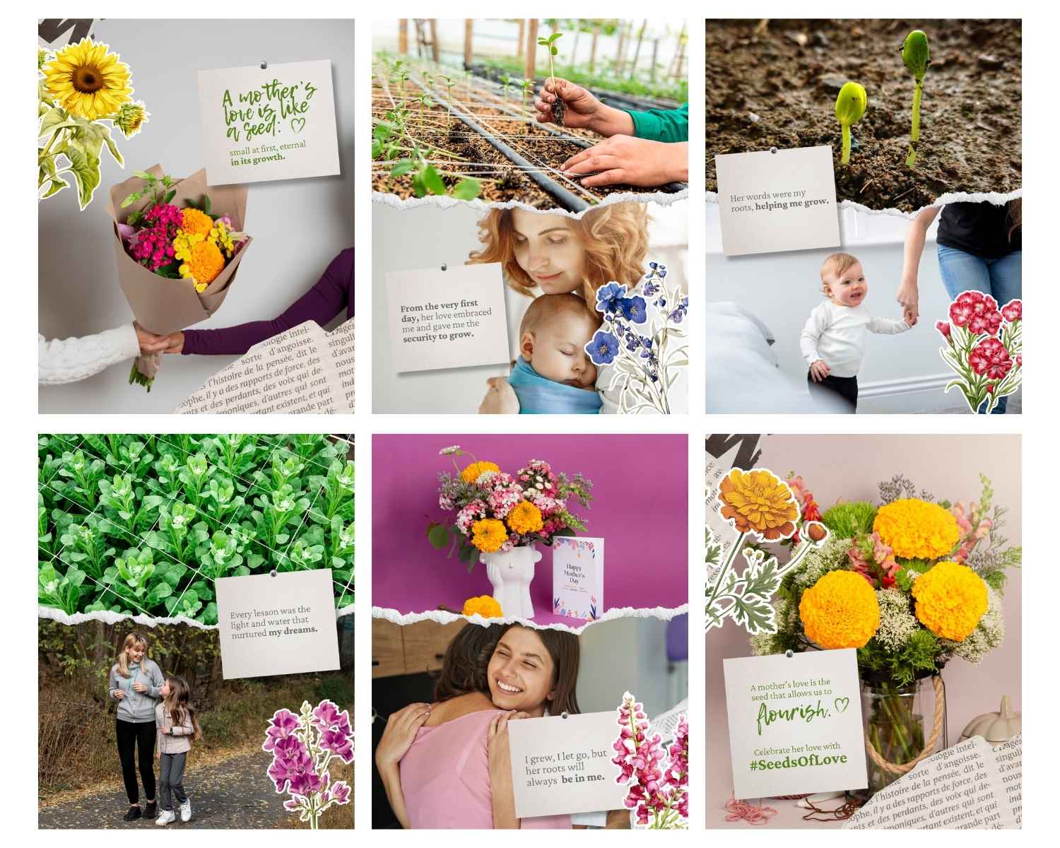BallSB Mother's Day Campaign - Seeds of Love